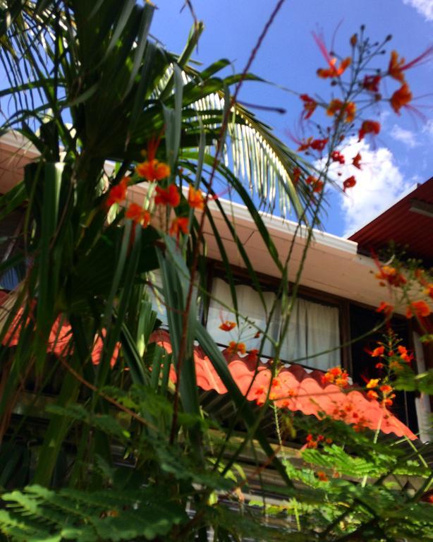 Flamingo Cabinas Hotel Playa Flamingo Exterior photo